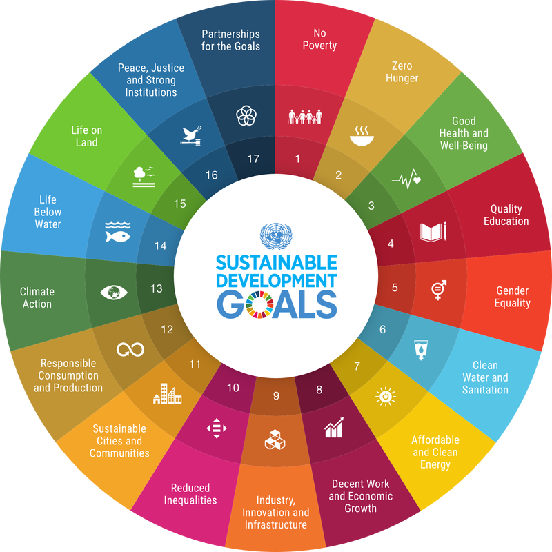 sdg development goals