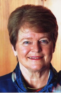 sustainable development brundtland