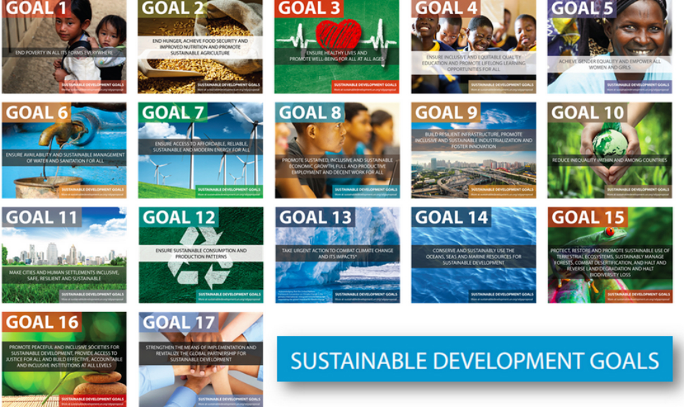 the 17 un sustainable development goals