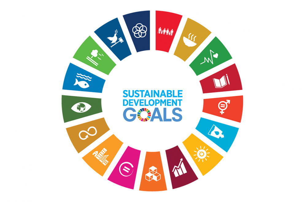 un global sustainability goals